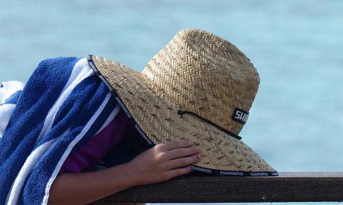 突破性能极限的网络手机号在线发送